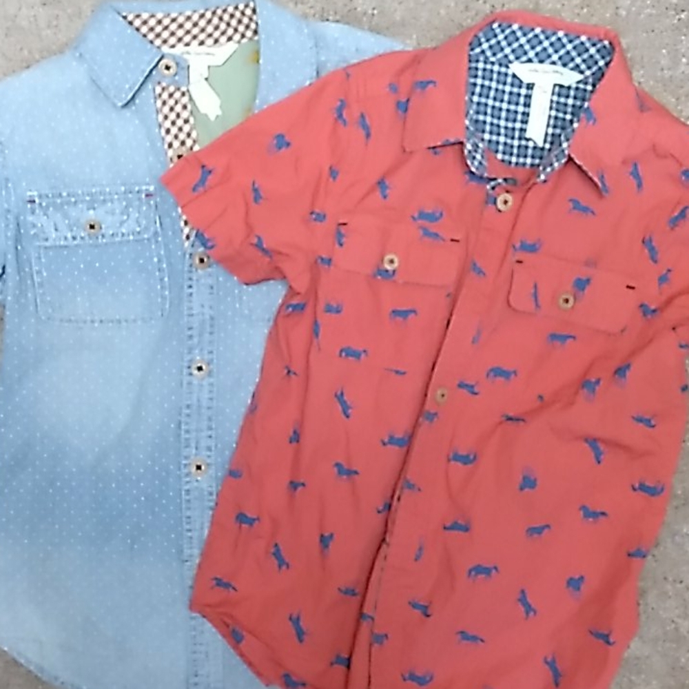 Boys size 6 Matilda Jane Button Up Shirts